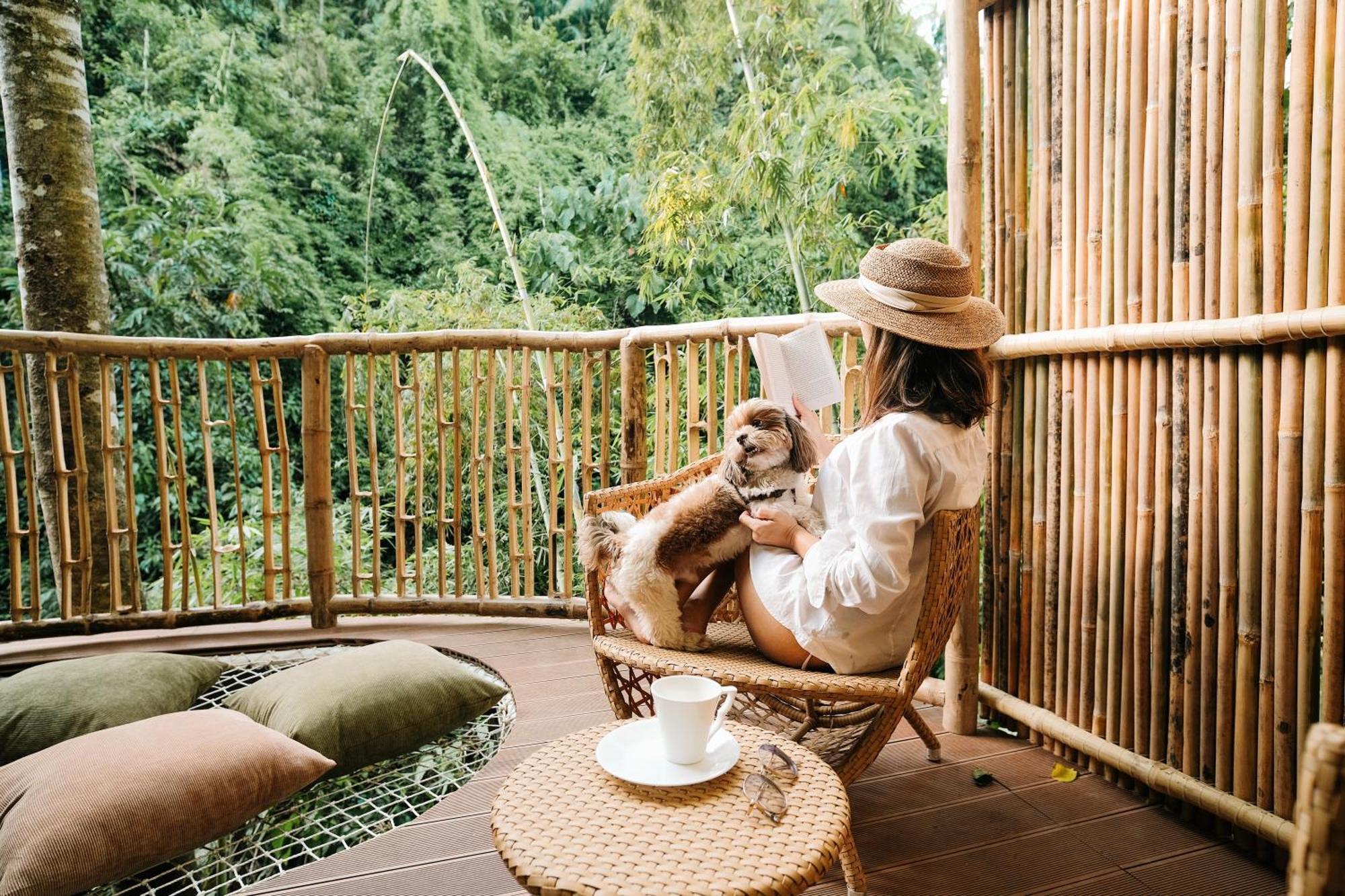 Treehouse De Valentine Villa Balamban Luaran gambar